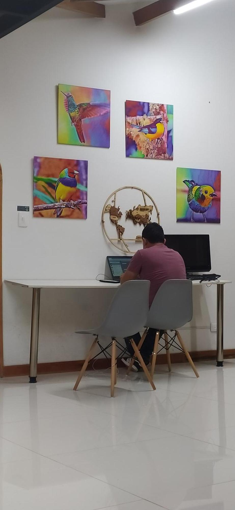 Albore Hostal פריירה מראה חיצוני תמונה